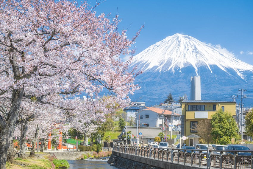Pertama Kali Liburan Ke Jepang ? Siapkan 8 hal di bawah ini !