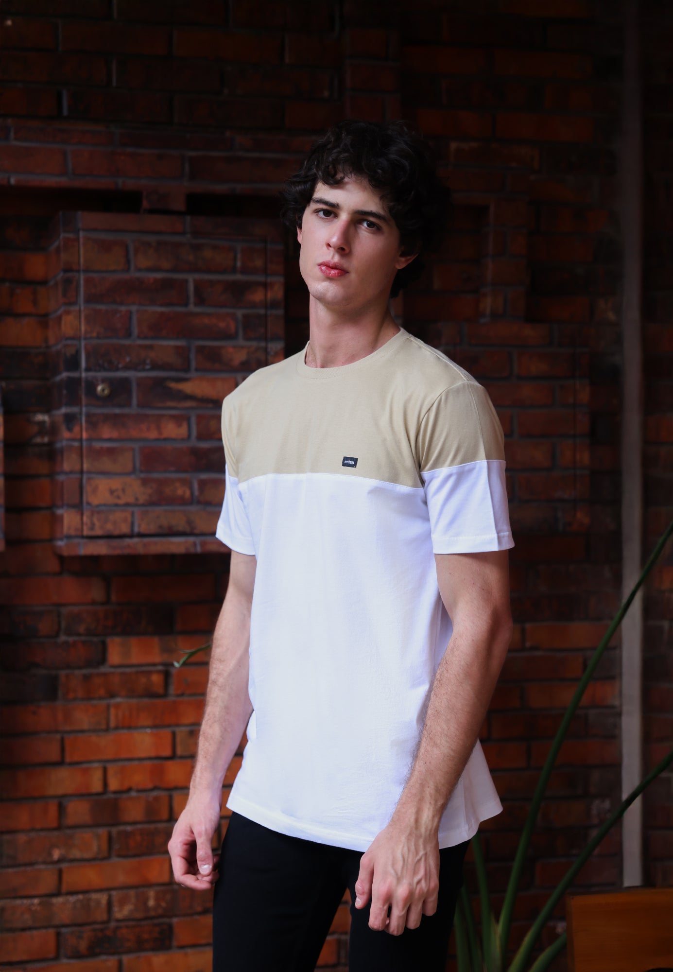 Ryusei Kaos Pria Kanayama CMB Light Brown