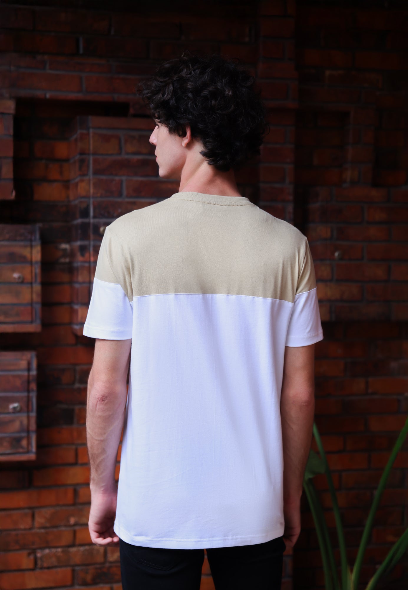 Ryusei Kaos Pria Kanayama CMB Light Brown