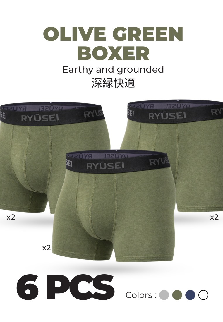 Ryusei Celana Dalam Pria Boxer Haruki 6pcs | Pilihan Warna Netral Premium