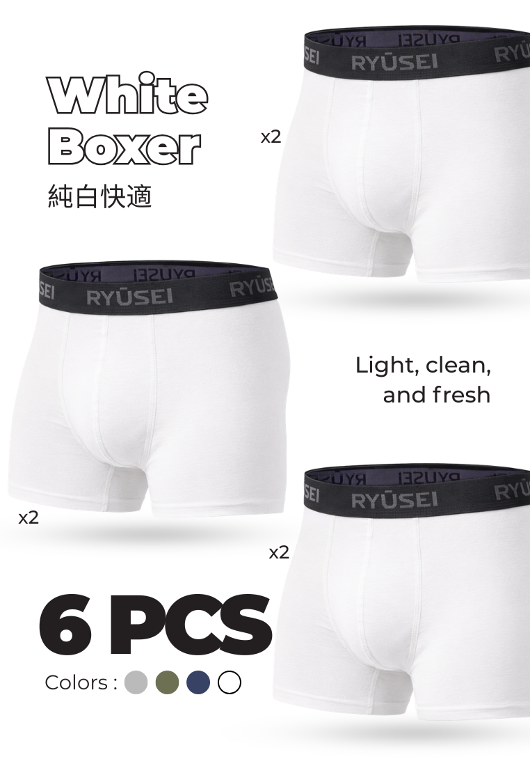 Ryusei Celana Dalam Pria Boxer Haruki 6pcs | Pilihan Warna Netral Premium