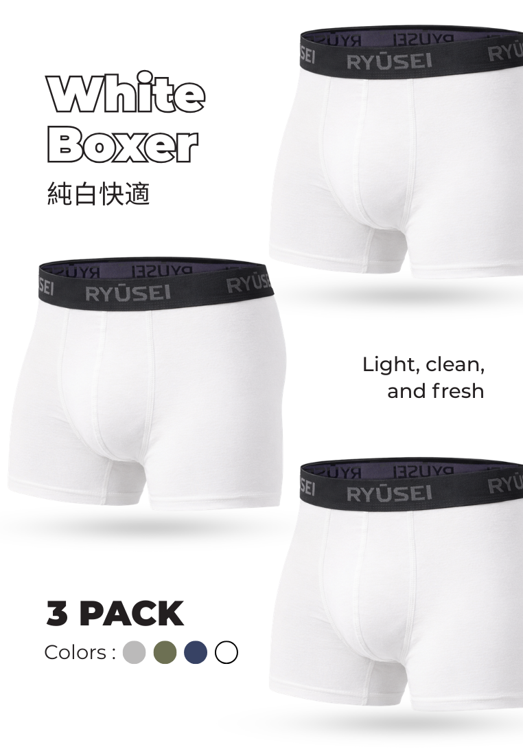 Ryusei Celana Dalam Pria Boxer Haruki 3pcs | Pilihan Warna Netral Premium